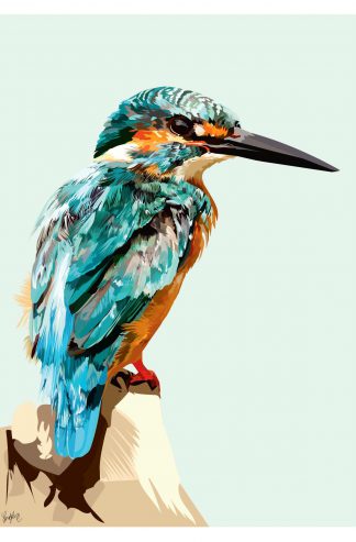 Kingfisher Art Print