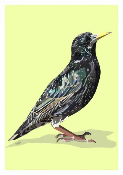 Starling Art Print