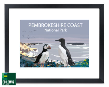 Birds of Pembrokeshire in Frame