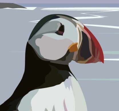 Puffin Close Up